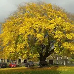 B&B Thornsgill House 4*