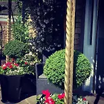 B&B Thornsgill House 4*