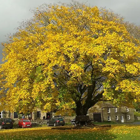 ベッド・アンド・ブレックファスト Thornsgill House 4*