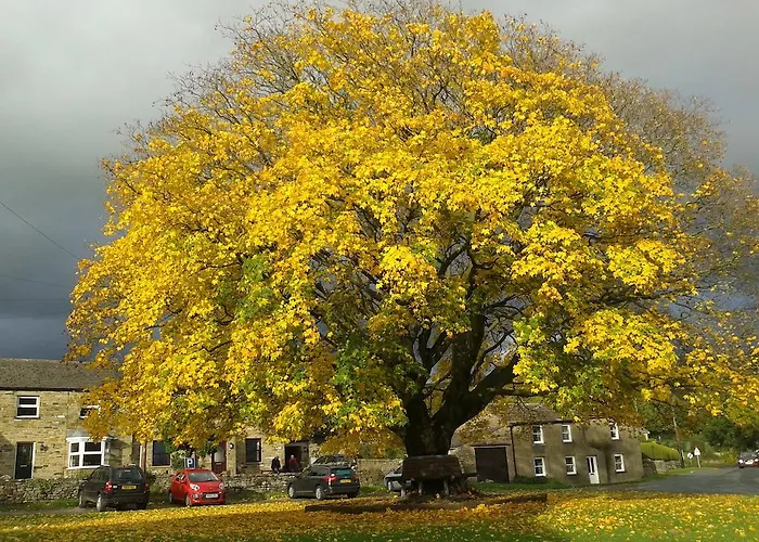 Bed & Breakfast Thornsgill House 4*